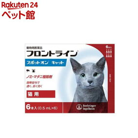 楽天市場 猫用 人気ランキング1位 売れ筋商品 楽天市場 猫用 人気ランキング1位 売れ筋商品